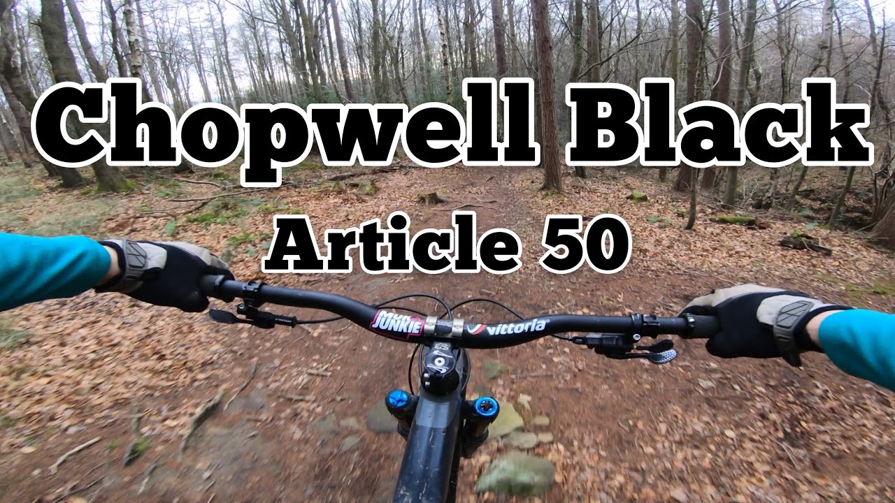 Article 50 - Chopwell Woodland Park Black trail