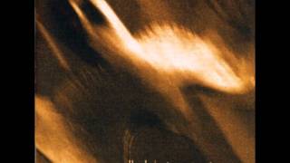 Agalloch - not unlike the waves