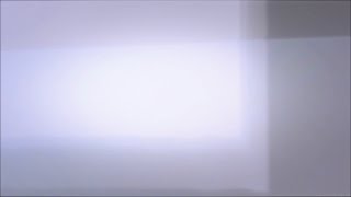 Light Leaks Element 252