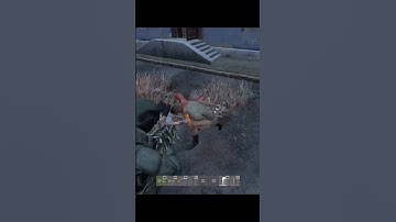 He was never seen again #dayz #dayzstandalone #dayzgameplay #gaming #gameplay