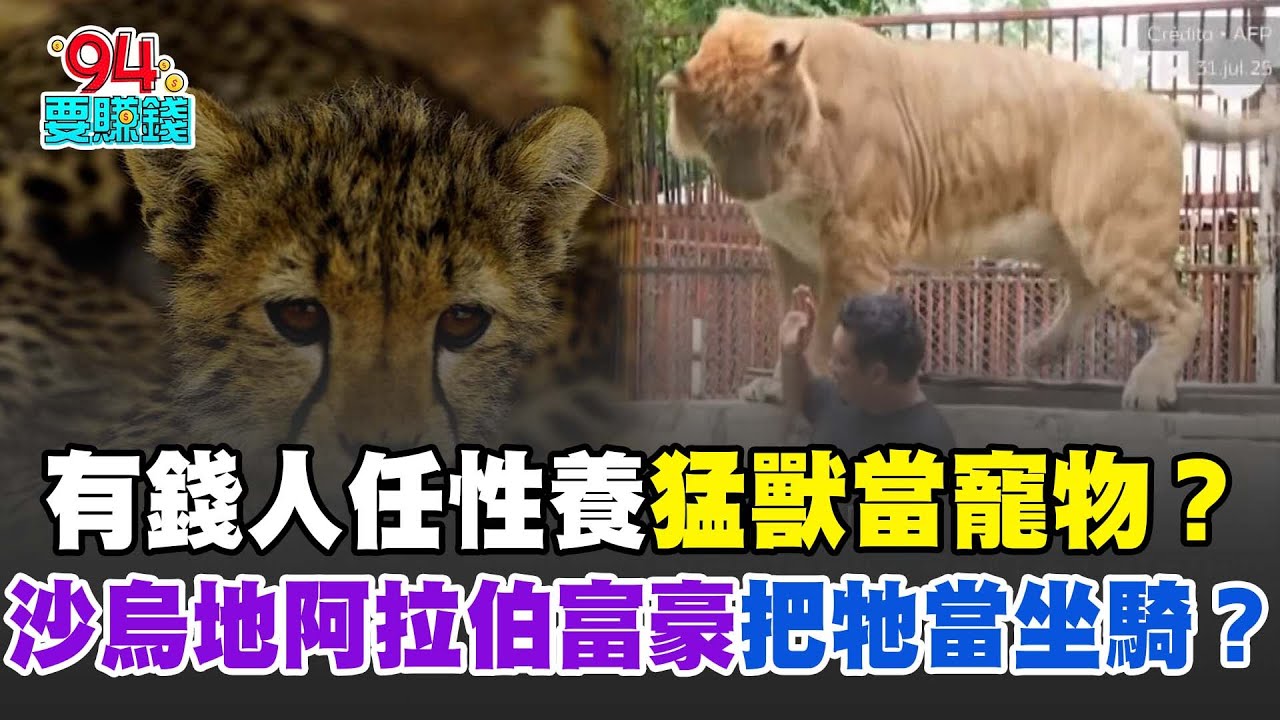 沙烏地阿拉伯富豪把