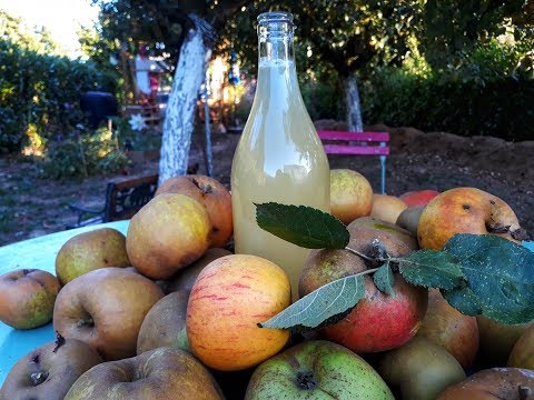 Vidéo: Comment Faire Du Vinaigre De Cidre De Pomme