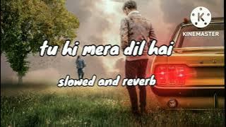 tu hi mera dil hai sad lofi song  ( slowed   reverb )  😥😥😥