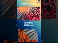 VID 20250718 WA0005