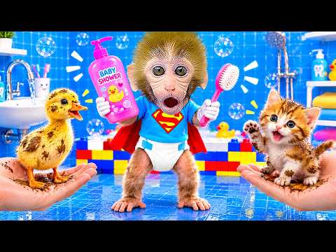 BonBon the monkey finds a duckling on the island and takes care of it with a cute kitten