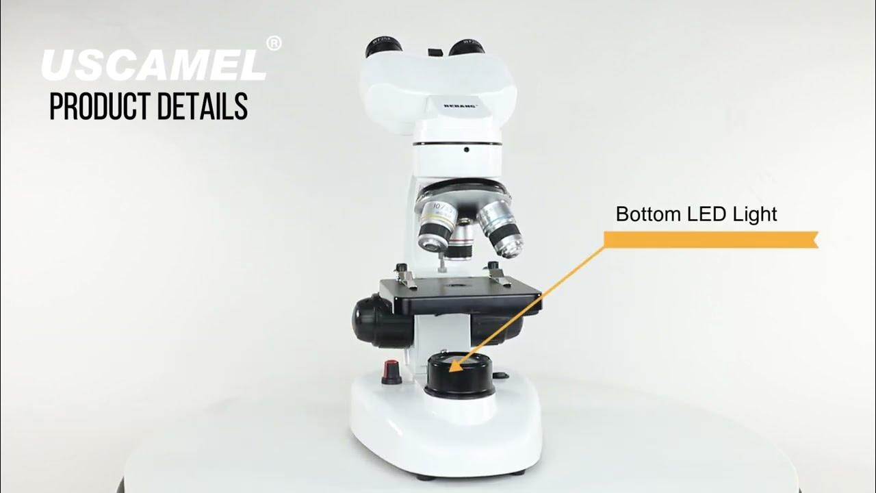 A Beginner's Guide to USCAMEL Microscopes YouTube