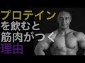 【プロテイン】筋肉への効果や選び方のポイントとは