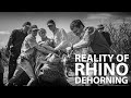 RHINO DEHORNING the REALITY (4K)
