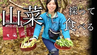 【山菜採り】釣りして山菜とって、その場で天ぷらにしちゃう【渓流釣り】