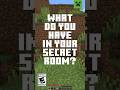 WHAT ARE YOU HIDING IN MINECRAFT?