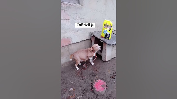 Leider werden in Ungarn immernoch viele Hunde an der Kette gehalten, wir möchten helfen❤️‍🩹 #shorts