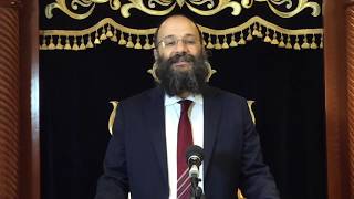 תצא השדה - פרשת חיי שרה - שי עמר
