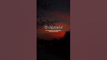 تلاوة خاشعة لسورة الإخلاص #quran #islamicvideo #تلاوة_خاشعة #سورة_الإخلاص #القرآن_الكريم