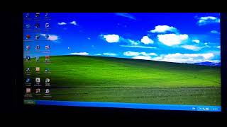WindowsXP_widescreen.mp4 (popular)