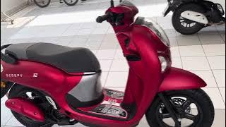 Honda Scoopy 2025 Ncx Cambodia