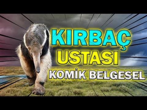 Erol Taşın Kırbacı Gibi Kırbaçlayan Bu Hayvan Kim Olabilir?
