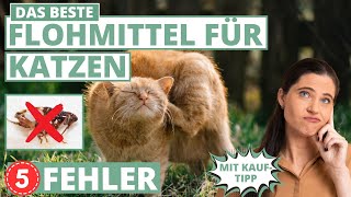 Bestes Flohmittel für Katzen - 5 Fehler & Tarif-Tipps screenshot 1