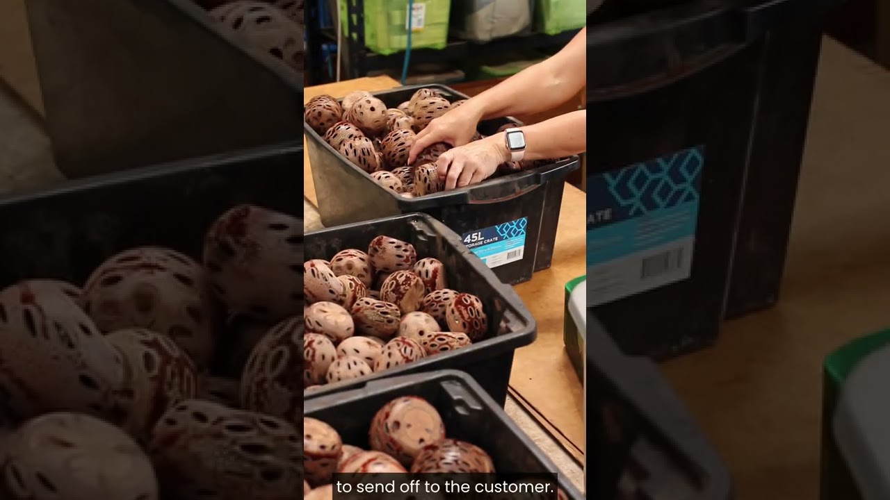 Banksia Aroma Pod Craftsmanship