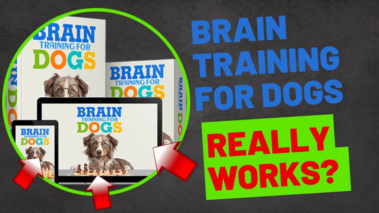 BRAIN TRAINING FOR DOGS – ⚠️REALLY WORKS?⚠️ – Brain Training for Dog Review │ Dog Brain Games