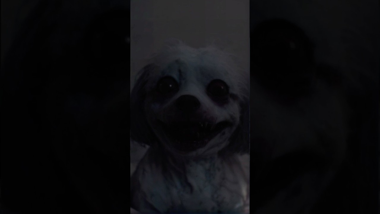 Я думаю, что моя собака чики-брики