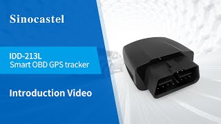 Sinocastel IDD-213L「Smart 4G LTE OBDII GPS Tracker」 screenshot 5