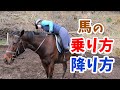 その降り方危険かも?!/馬の乗り方と降り方