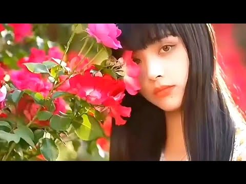 [MV] 《不要慌不用慌 (Live合唱版)》 - #恋特特 「不要慌不用慌，崎岖的路不是很长，除了生死都是皮外伤」 #不要慌不用慌  #音乐  #抖音MV  #抖音音乐  #新歌上线  #MV
