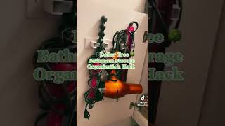 Dollar Tree Bathroom Storage Hack