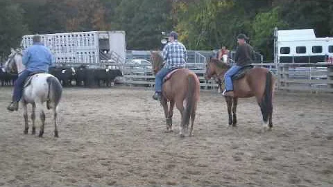 Team Penning 10/18/08