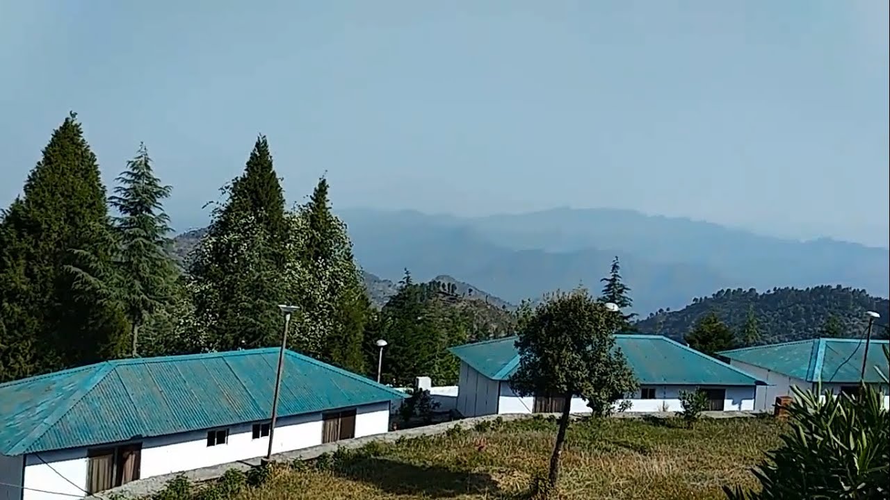 Meditating Sounds of Uttarakhand Himalayas | Himalayan Bird Calls