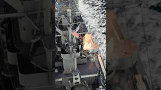 A6M Zero survive this Battleship? #viral #gaming #shorts