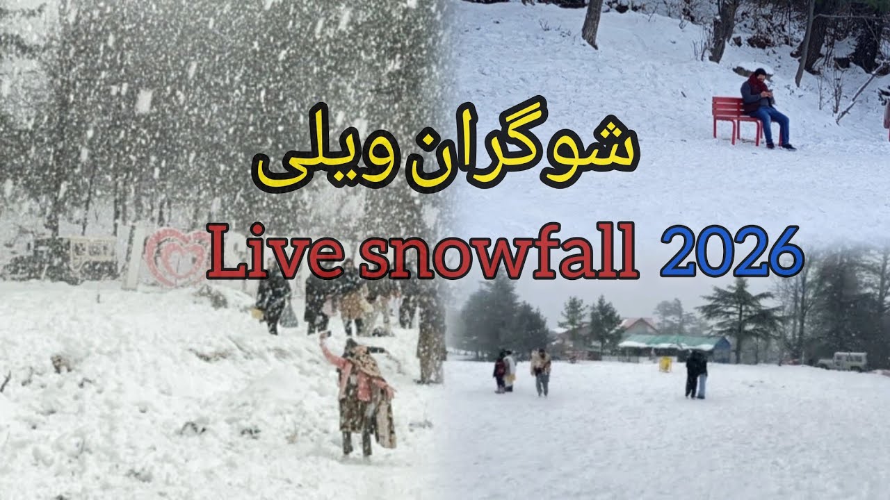 Shogran snowfall 2026 january 