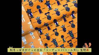 9/17 本日のおすすめ生地(綿コール天)