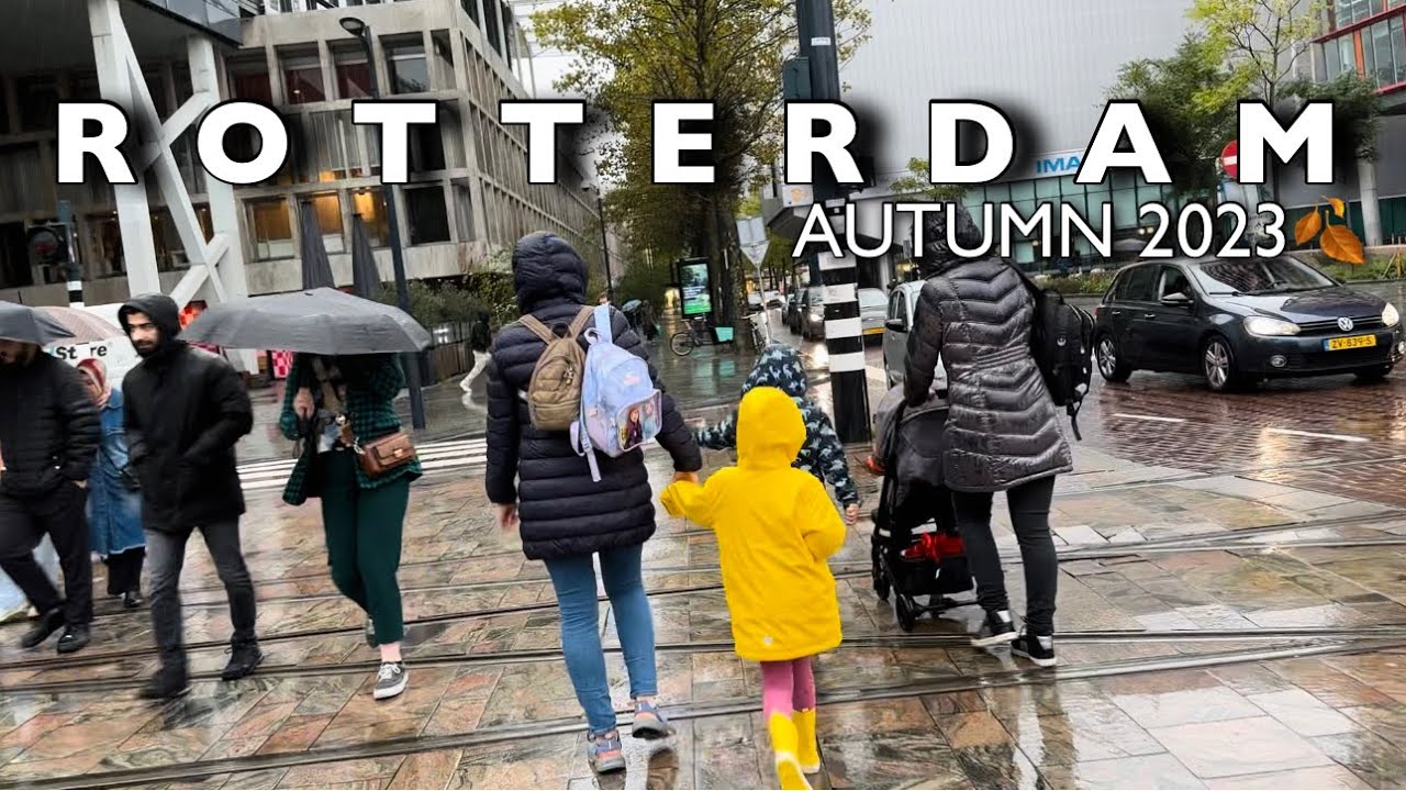 Rotterdam City Autumn Walking Tour 🍂 Rotterdam Under Umbrella 2023🍂🇳🇱 YouTube
