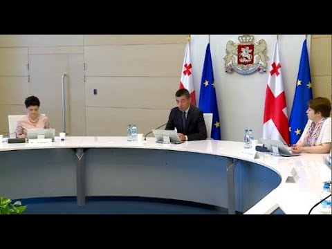 გიორგი გახარიას გადაწყვეტილებით მთავრობა სტიქიის შედეგების სალიკვიდაციოდ 45 მილიონამდე ლარს გამოყოფს