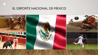 Spanish Final Project