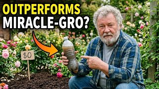 The $0 Fertilizer That Outperforms Miracle-Gro (Soil Health)