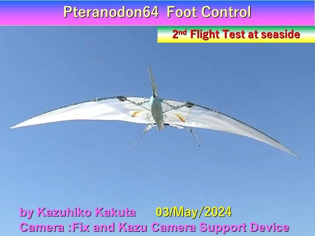 翼竜型羽ばたき機 プテラノドン Pteranodon64FootCntrol