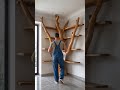🌳Bringing Nature Indoors: A Tree Adventure!