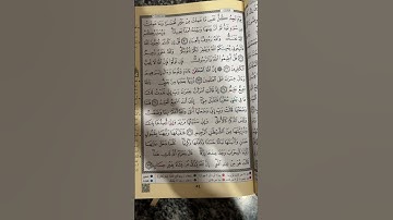 #قرآن #quran #راحة_نفسية #المصحف #اكسبلور #تلاوة_خاشعة