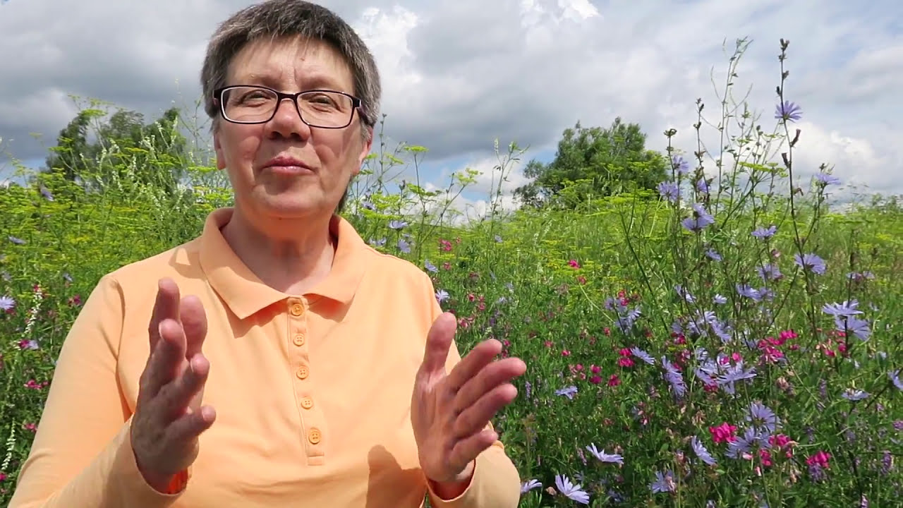 №339 🌸 Подмосковье ☀️ Истра 🌼 Новый Иерусалим 🖼 Выставка 🎨 Исаак ...