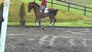 categorically cooley flatwork (day1)