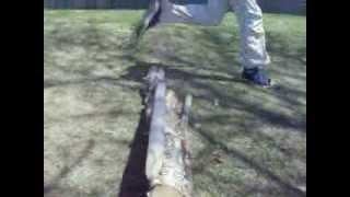 Cassie jumping a wood log jump!!!!!
