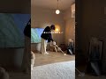 ペットを飼うと年収が1300万増える話。#ペットのいる暮らし #暮らし