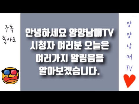 [양양남매TV] EP.9 여러가지 벨소리