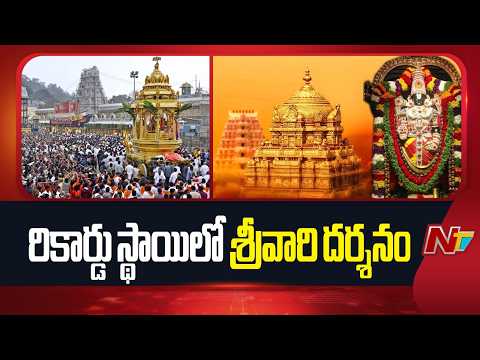 తిరుమల శ్రీవారిని రికార్డు స్థాయిలో దర్శించుకున్న భక్తులు | Tirumala Tirupati  | NTV Telugu - NTVTELUGU