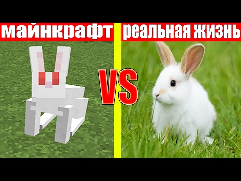 Видео: МАЙНКРАФТ ПРОТИВ РЕАЛЬНОЙ ЖИЗНИ 8 ! MINECRAFT VS REAL LIFE