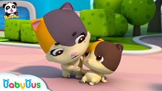 baby kitten falls down how to cross the road safely kids safety tips babybus