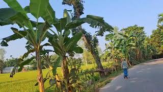 মন মোৰ ৰসনা || এই দেহাৰ মূল্য নাই||MonMor Rosona || Zubeen Garg New Trendingsong ||মৃত্যু 2025