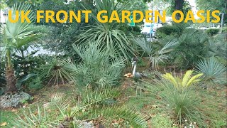 🌴 Tropical front garden - small patch of exotic paradise 🌞 by UNIQUE LIFE DESIGN 180 views 9 months ago 10 minutes, 42 seconds